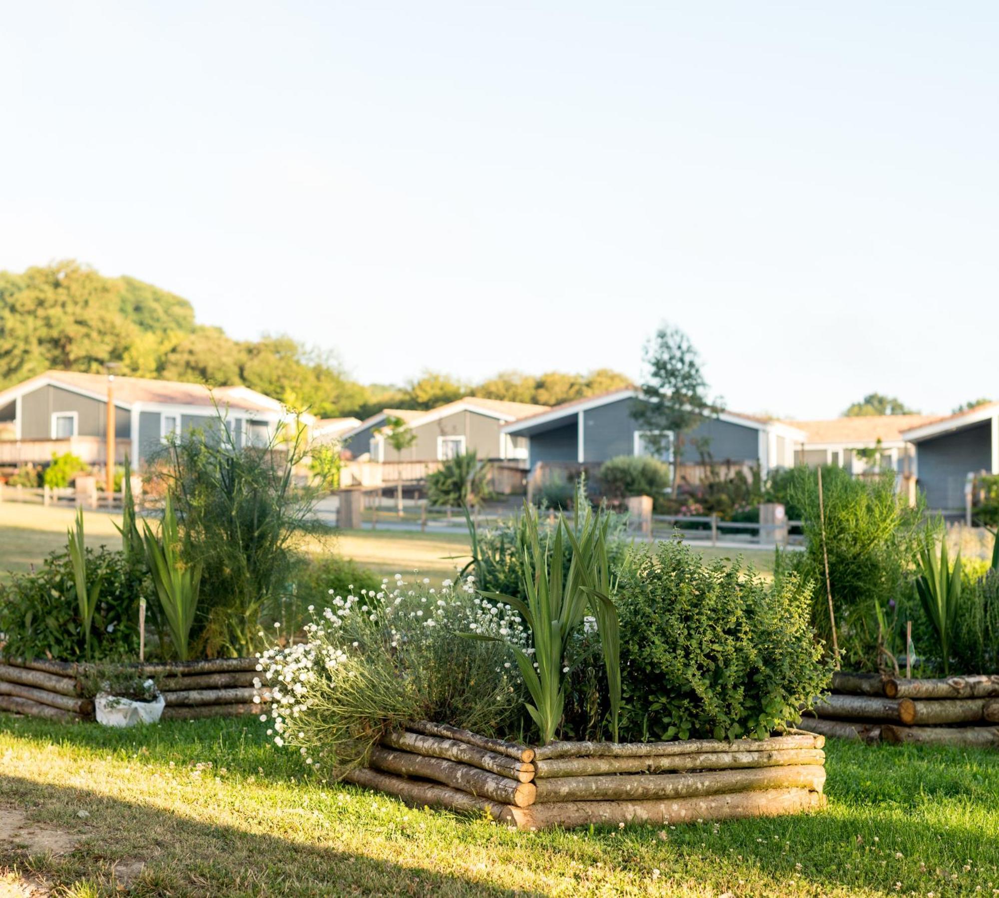 Domaine Melusine - A 2Km Du Puy Dufou France ! Hotel Les Epesses Exterior photo
